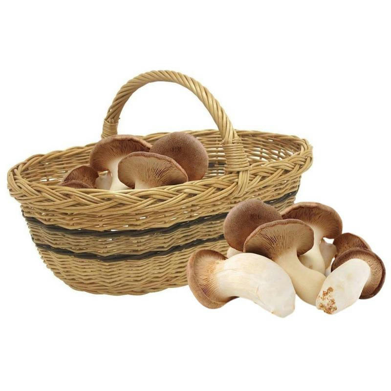 - Panier à champignons en osier buff