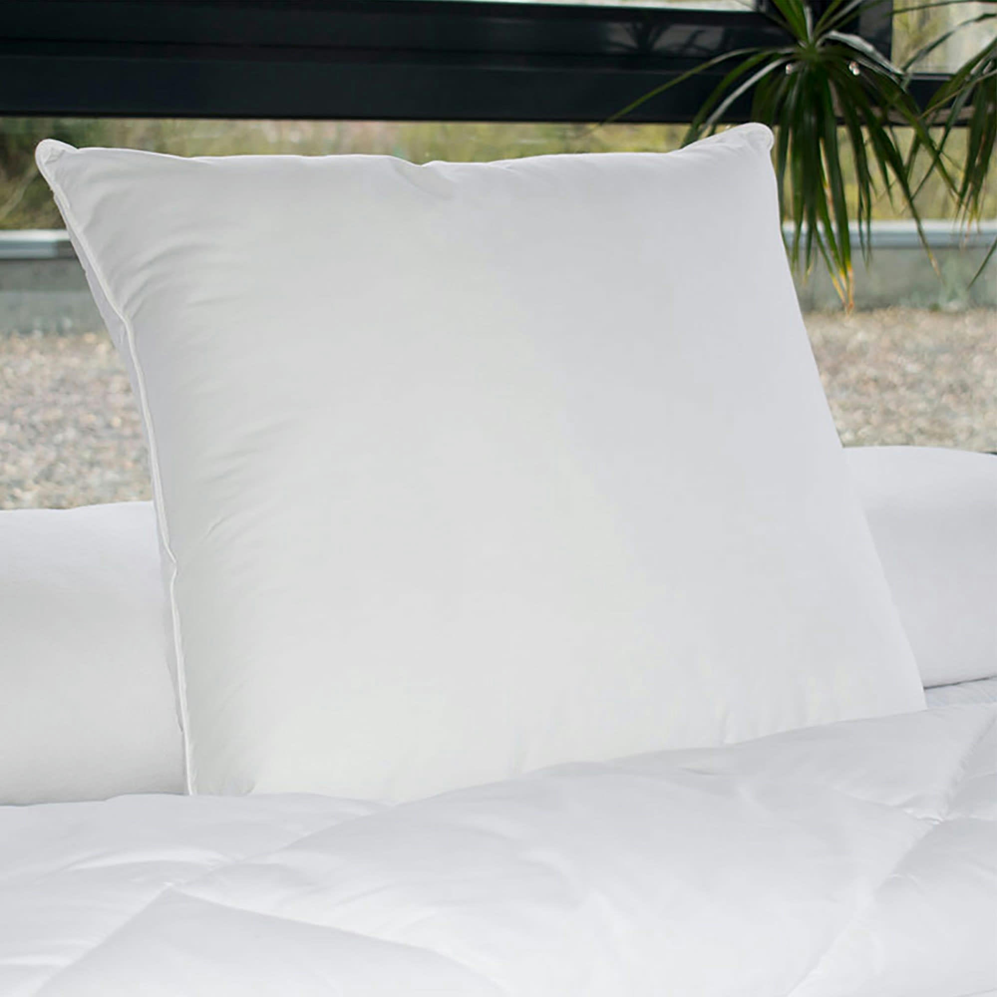 OREILLER - Oreiller 100% coton fibres creuses siliconées 60x60