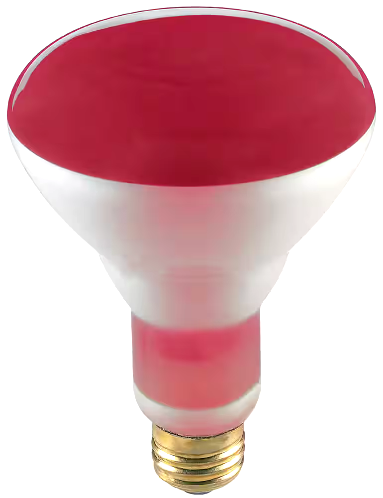 NOMA R30 E26 Base Dimmable Incandescent Flood Light Bulb, Red, 65W