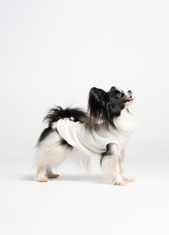Pullover in cotone Liu Jo Pets