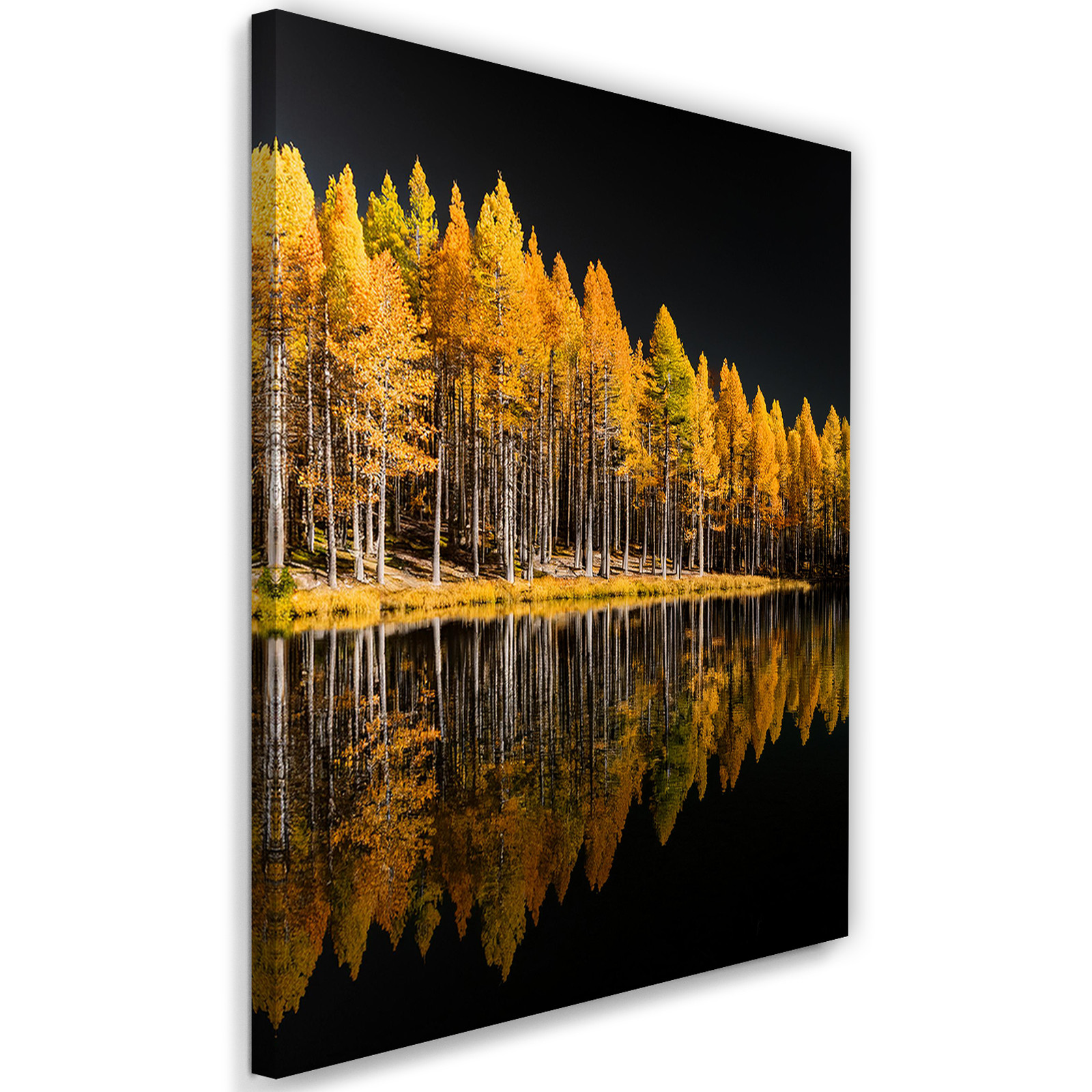 Feeby Obraz na płótnie, Złoty Las Jesień Jezioro Natura Drzewa 40x60