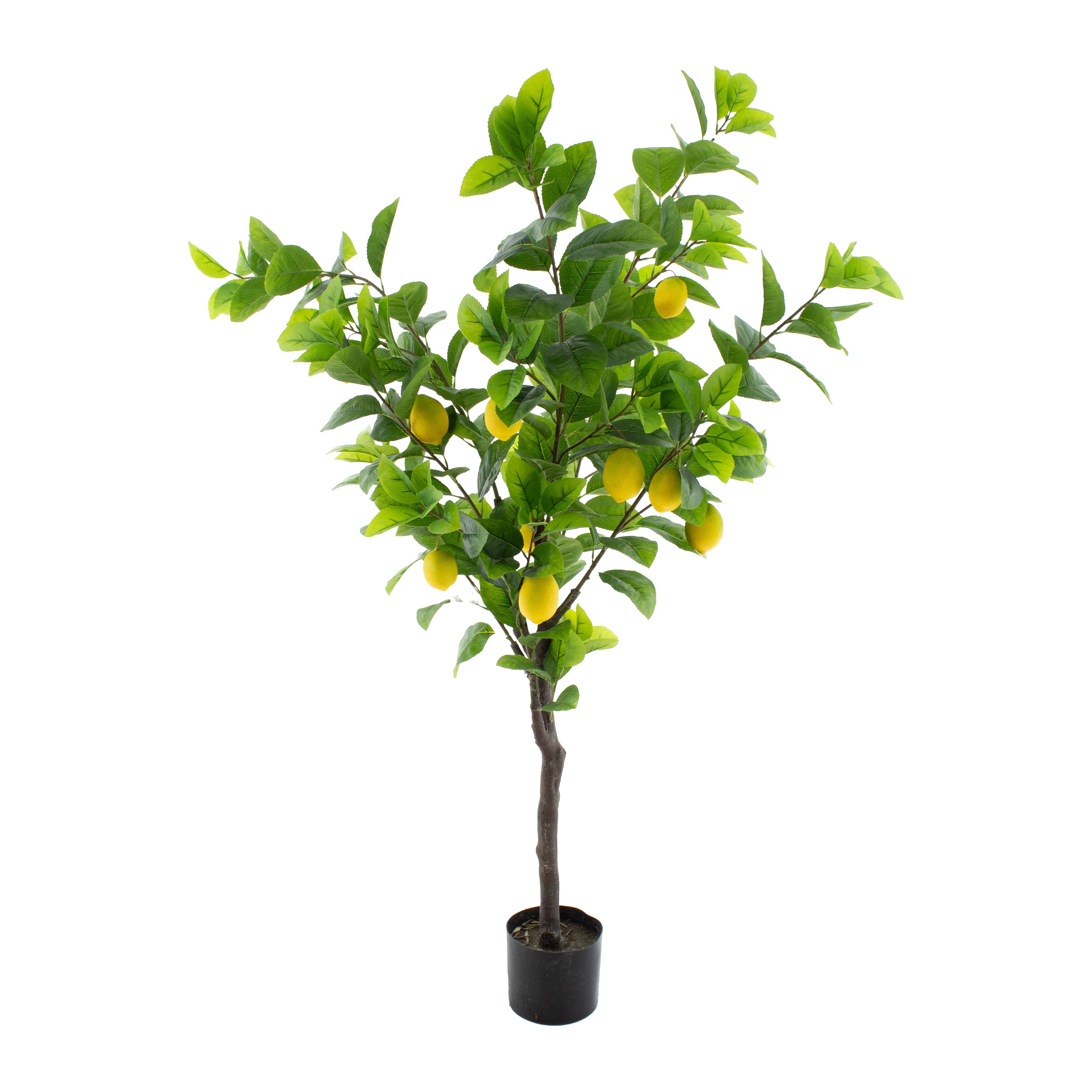 Van der Leeden Citroenboom Kunstplant