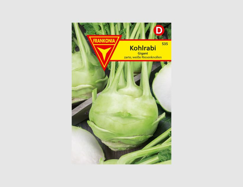 Kohlrabi Gigant
