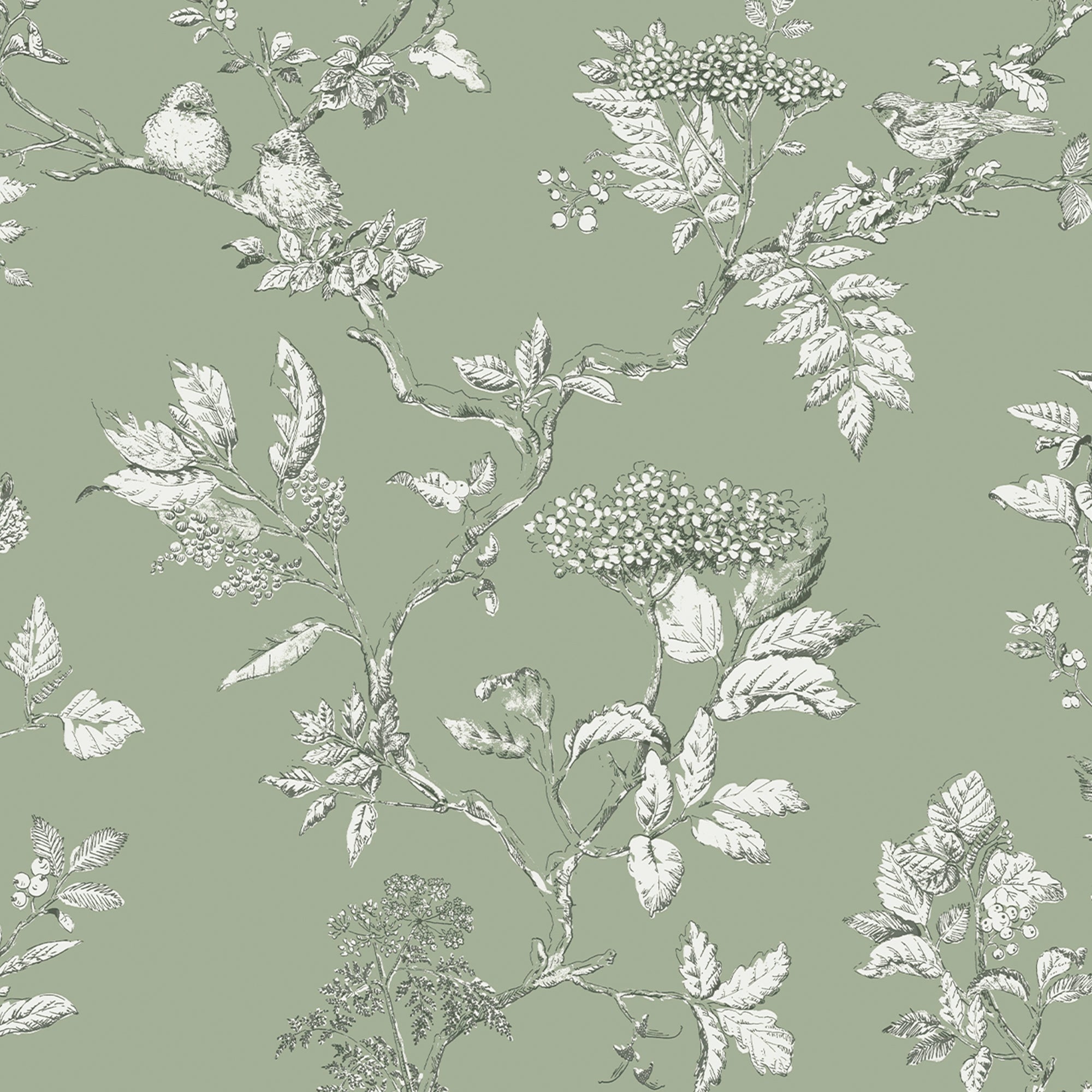 Laura Ashley Vliesbehang Elderwood Sage - bomen - 10mx52cm - groen