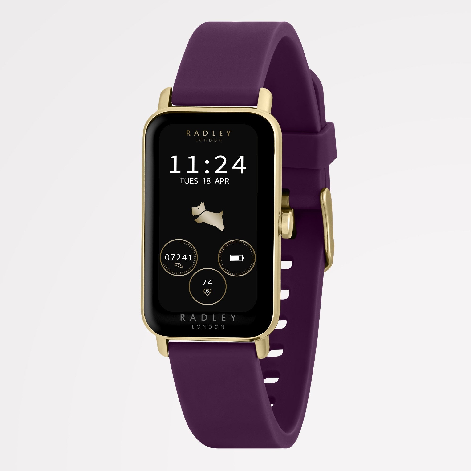 Series 21 - With Silicon Strap