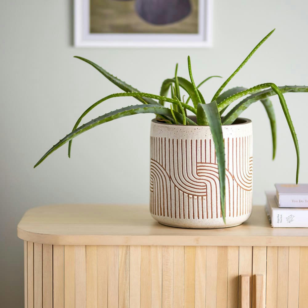 CENZIA - Pot de fleur en terre cuite H20,5cm ecru