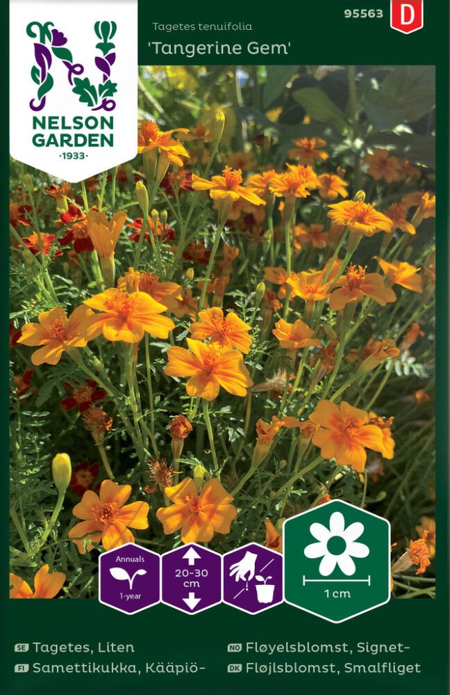 BLOMSTERFRØ NELSON GARDEN SIGNETFLØYELSBLOMST TANGERINE GEM