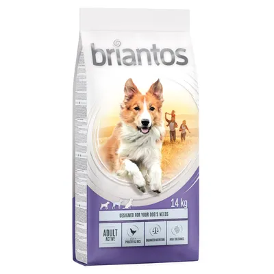 Briantos Adult Active