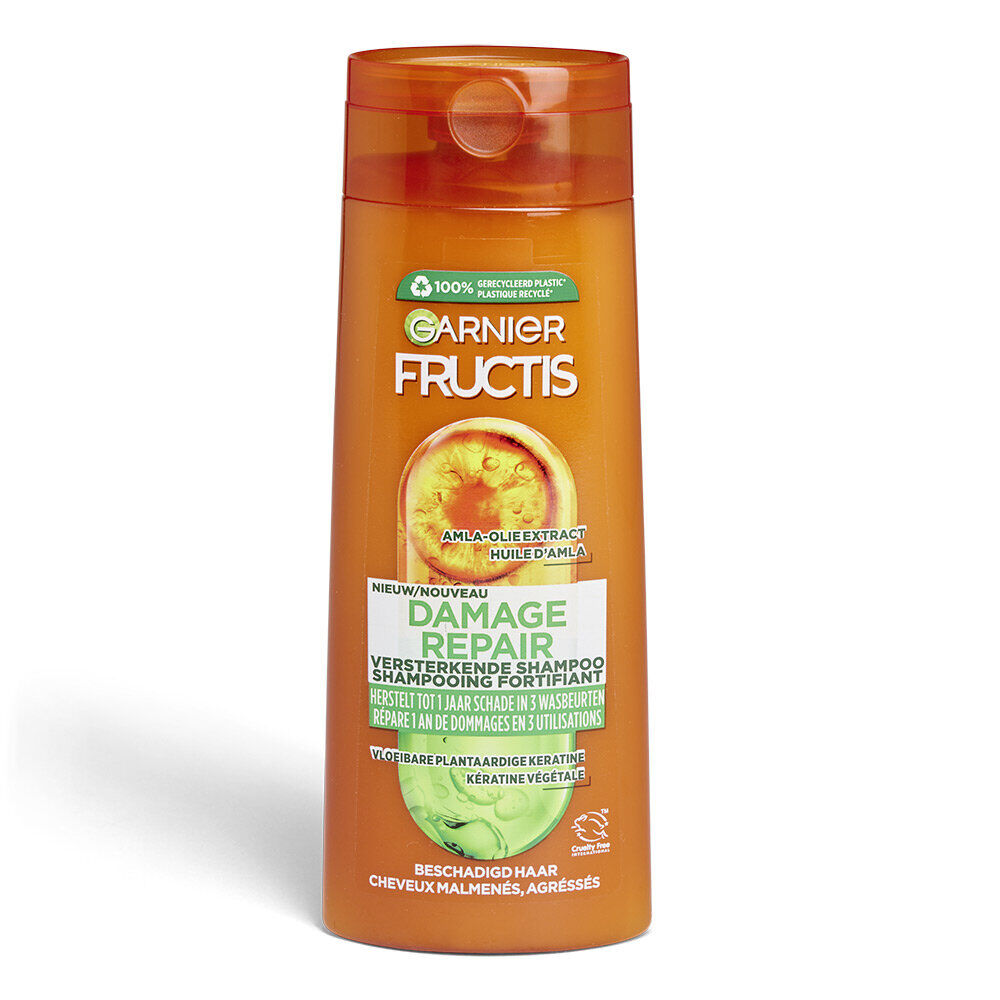 Shampoing Fructis Damage Repair Garnier 250ml