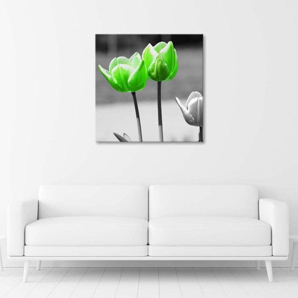 Feeby Obraz na płótnie Zielone tulipany w szarości 30x30