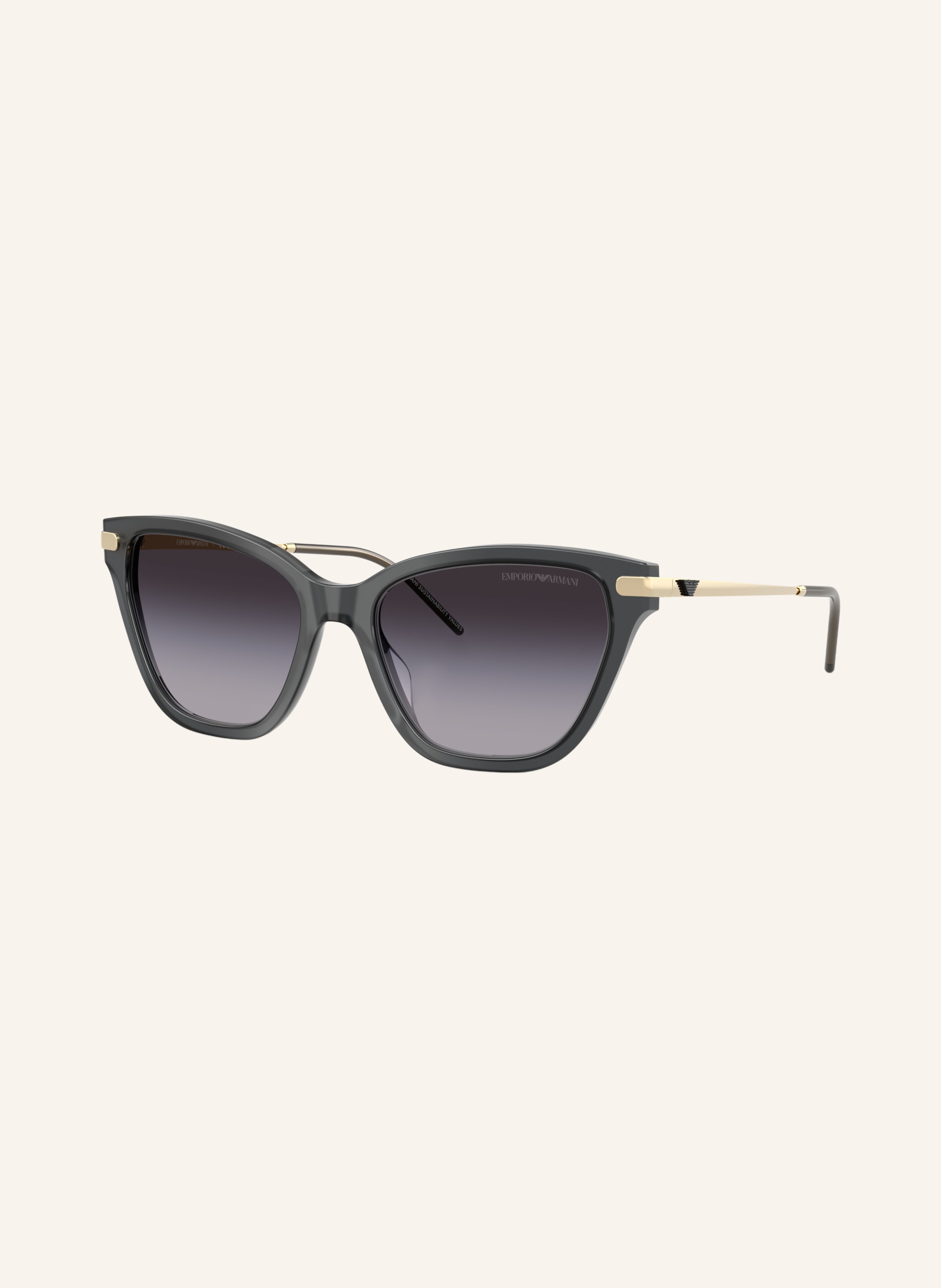 EMPORIO ARMANI Sonnenbrille EA4251