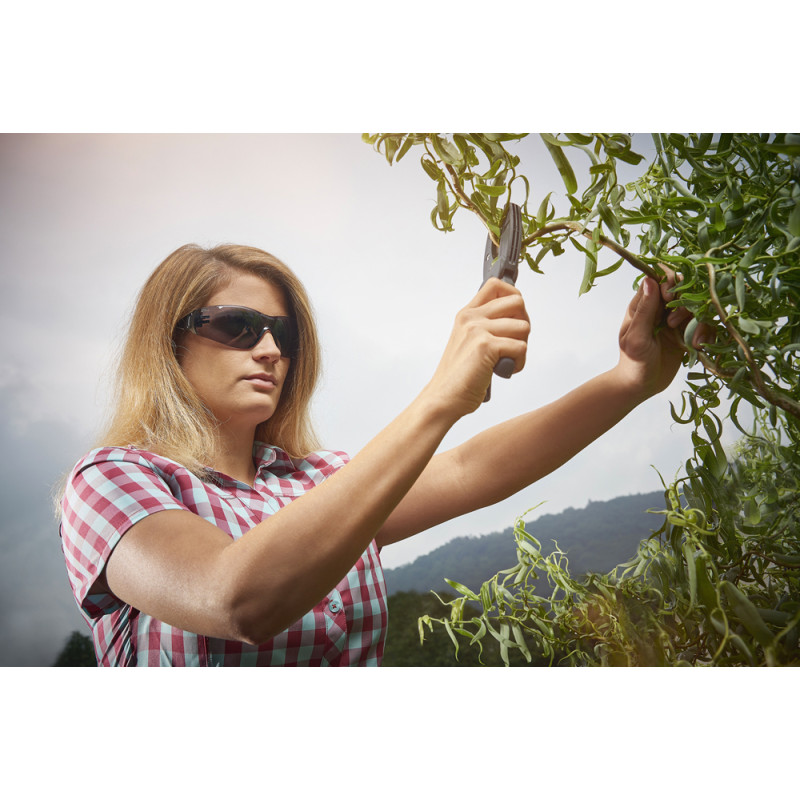 Lunettes de protection Profi anti-UV WOLFCRAFT
