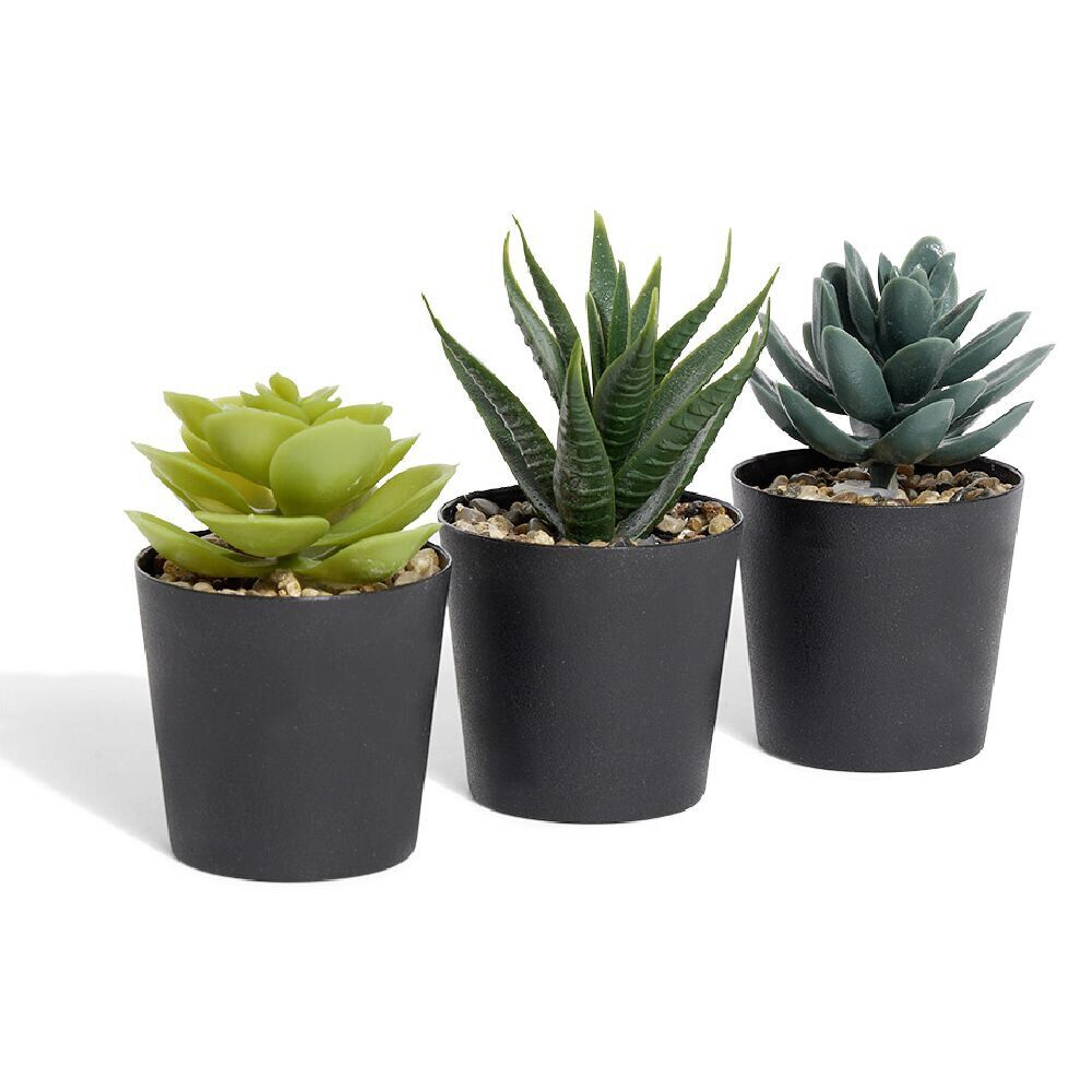 Lot de 3 plantes artificielles dans pot Ø5,8xH10cm