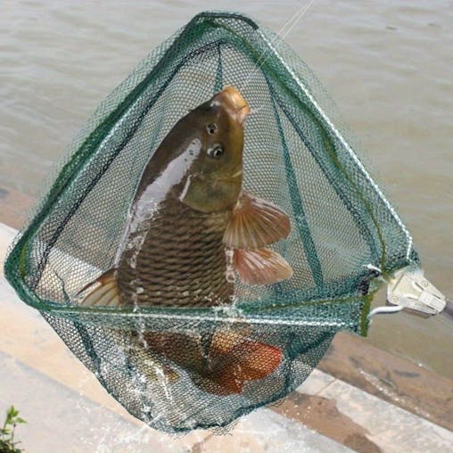 NNETM Ultra-Light Foldable Fishing Net with Telescopic Handle