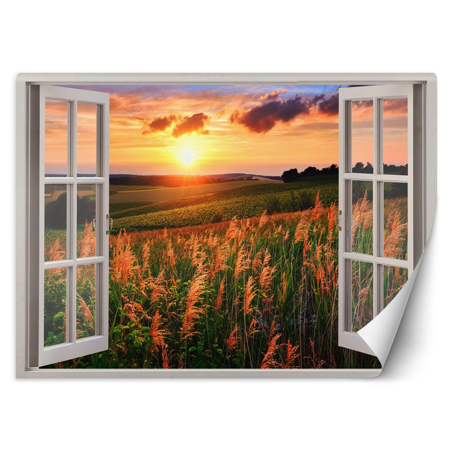 Feeby Fototapeta, Okno z widokiem na łąkę zachód słońca 140x100