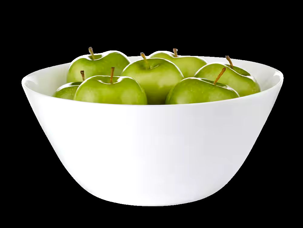 CANVAS Willowdale Opal Glass Serving Bowl