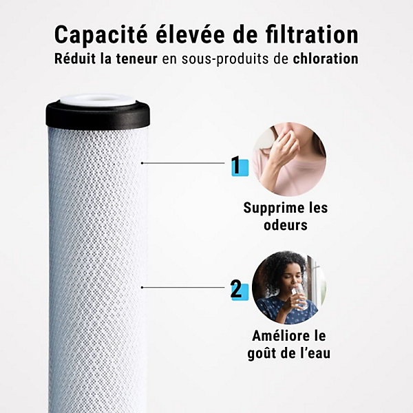 Filtre charbon actif en coquille de noix de coco 10'' ECOSOFT lot de 4