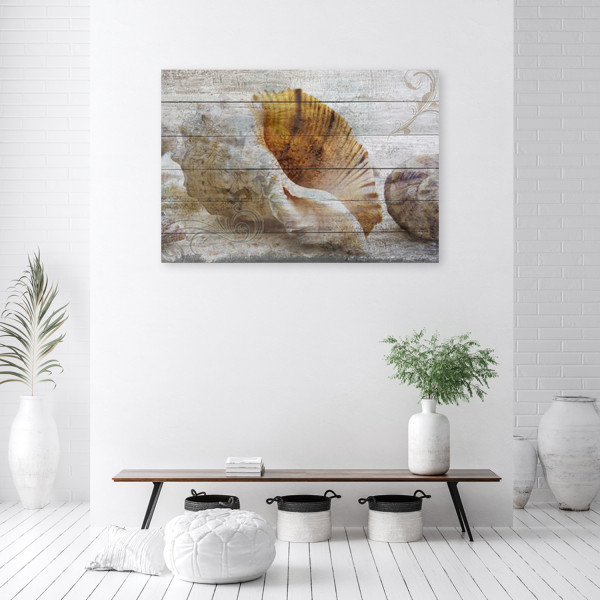 Feeby Obraz na płótnie, Muszle w stylu vintage 60x40