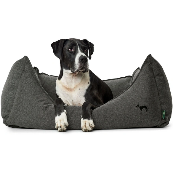 Hunde-Sofa, BxHxL: 55 x 20 x 65 cm, anthrazit