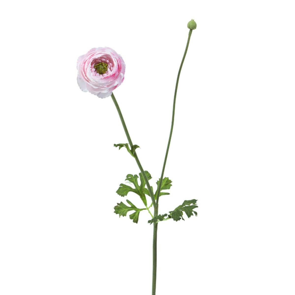 - Renoncule avec bourgeon artificielle blanche H56