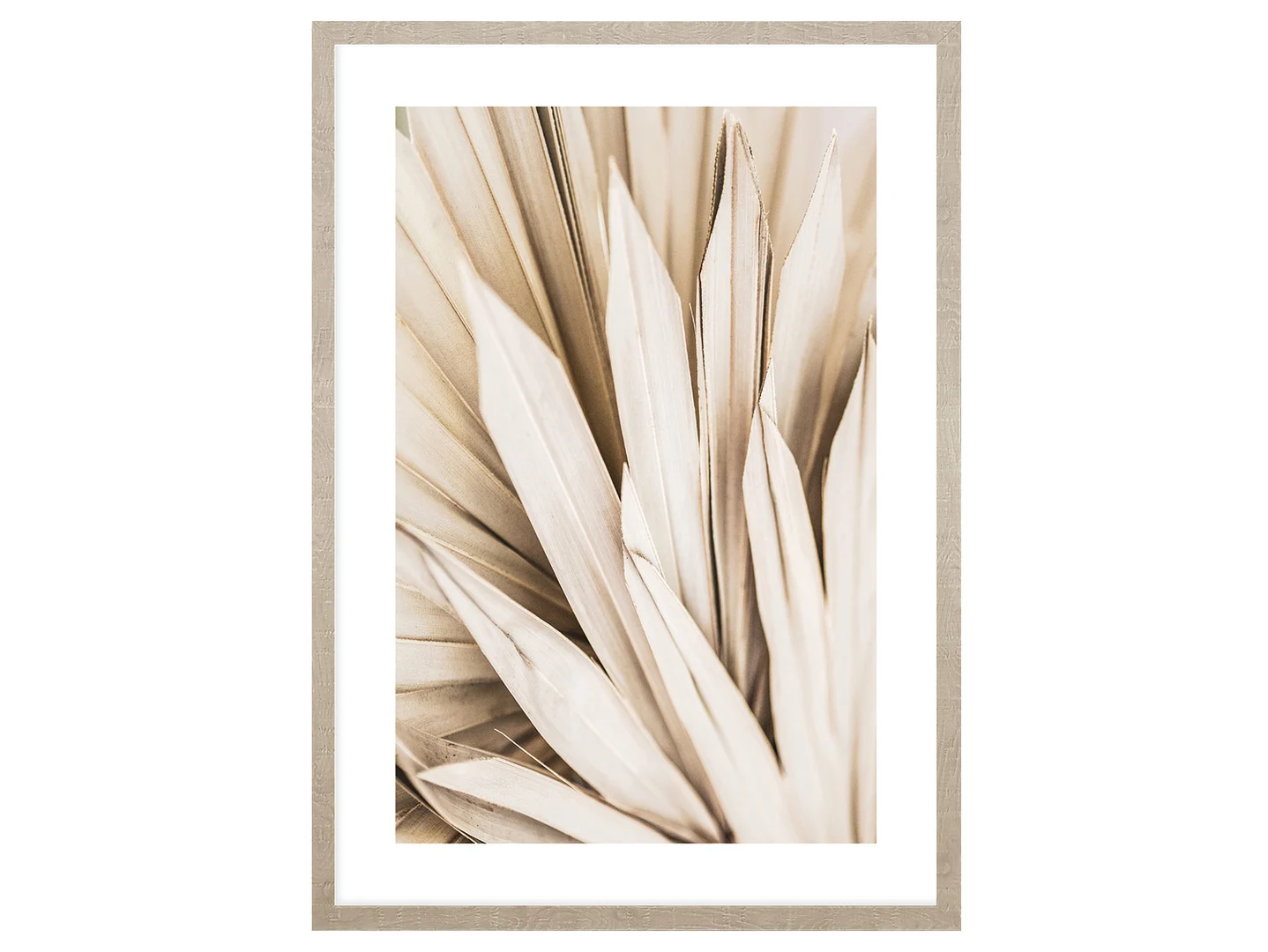 Obraz w ramie Dried Palm Leaves No.2 53x73 cm