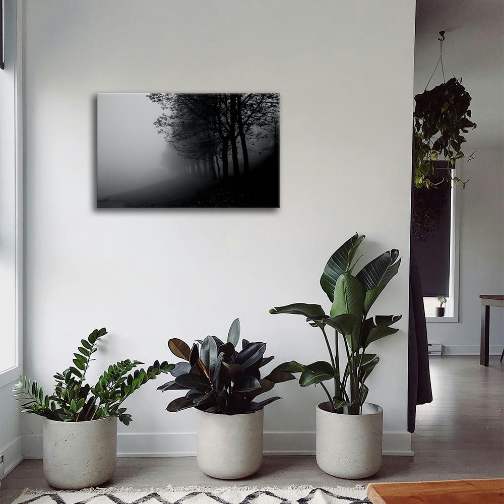 - Tableau impression sur toile brouillard dans les arbres 60x90cm