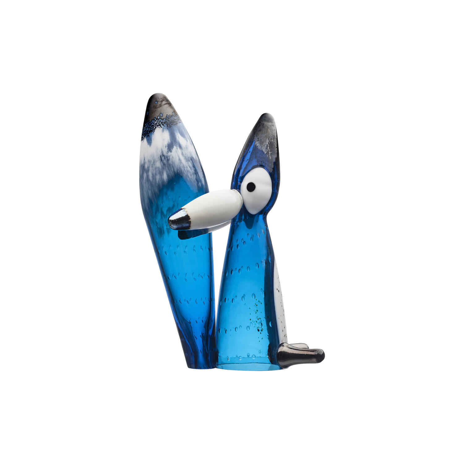 Vulpes Polar R&aelig;v, blue