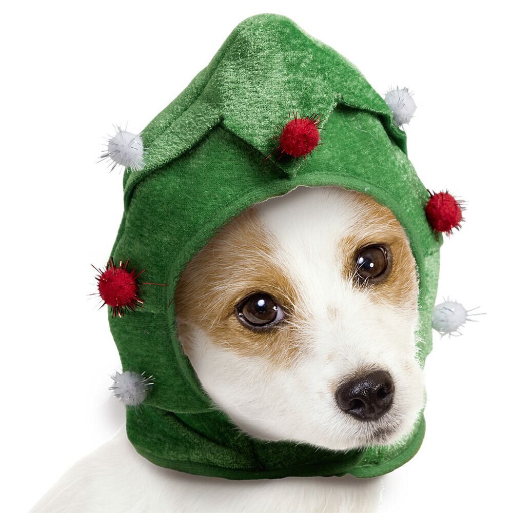 Chapeau pour chien sapin de No&euml;l