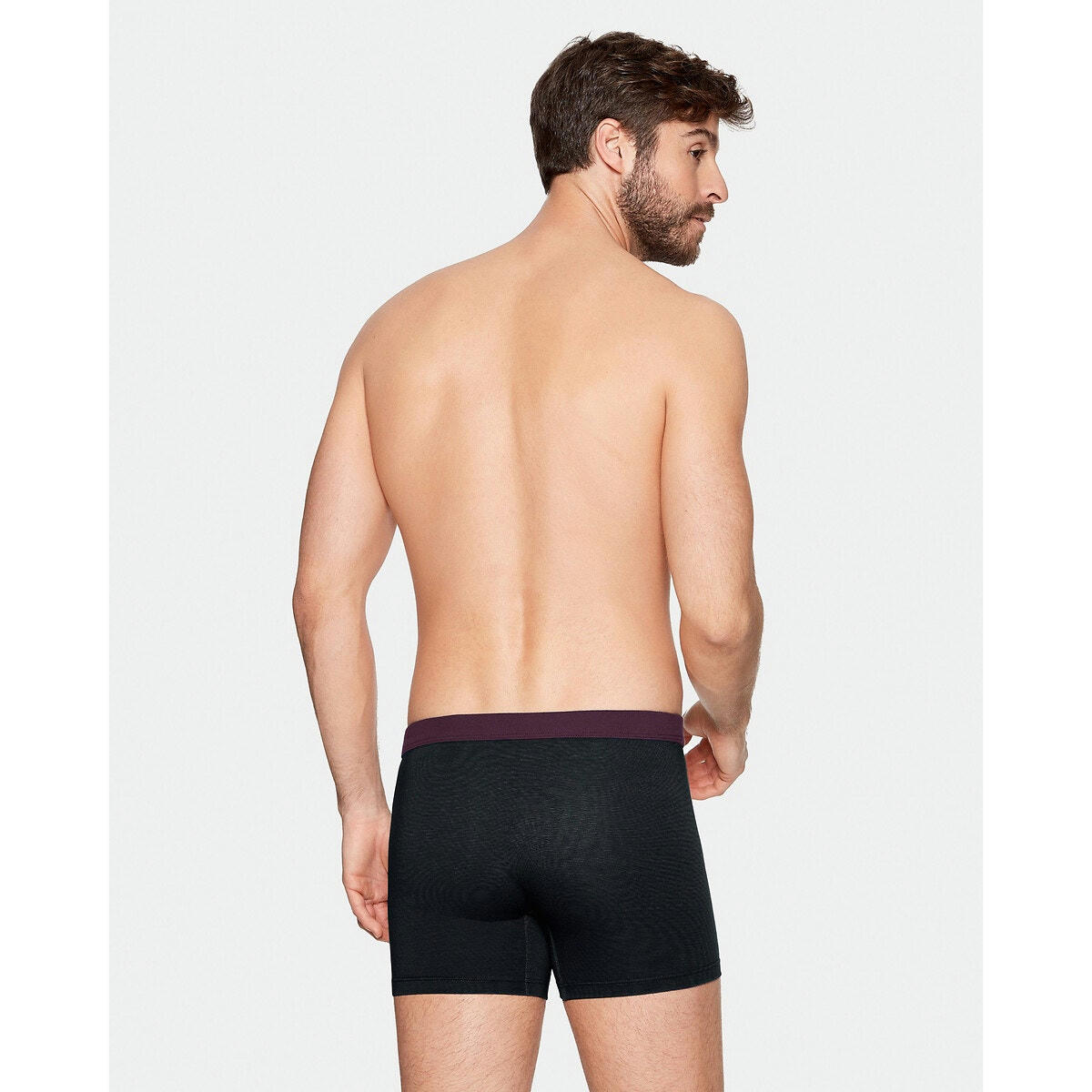 Boxer bicolore