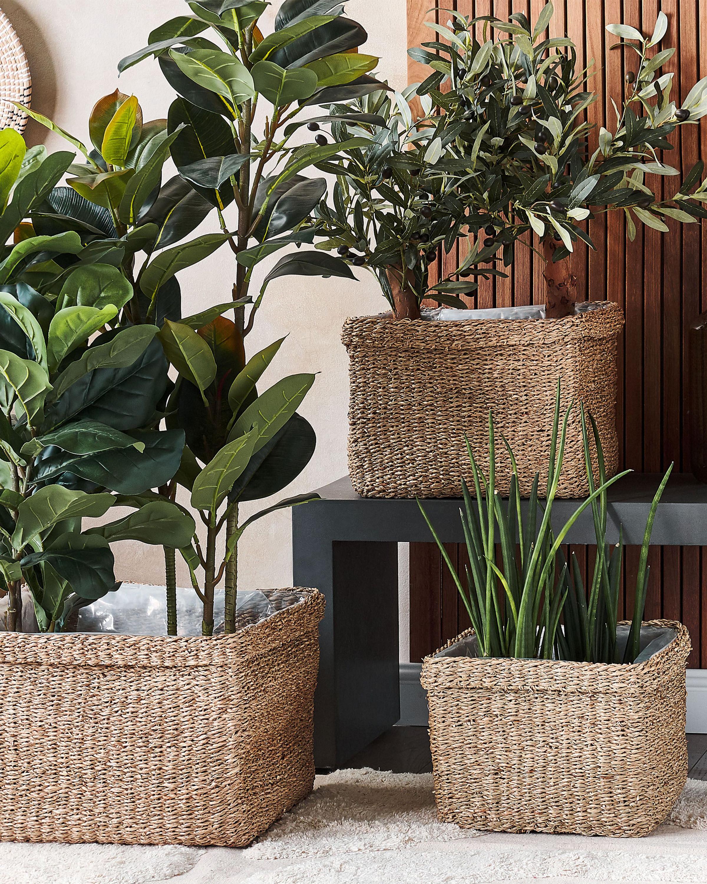 Set of 3 Plant Pots RIVULINE Seagrass 23/27/30 cm Natural