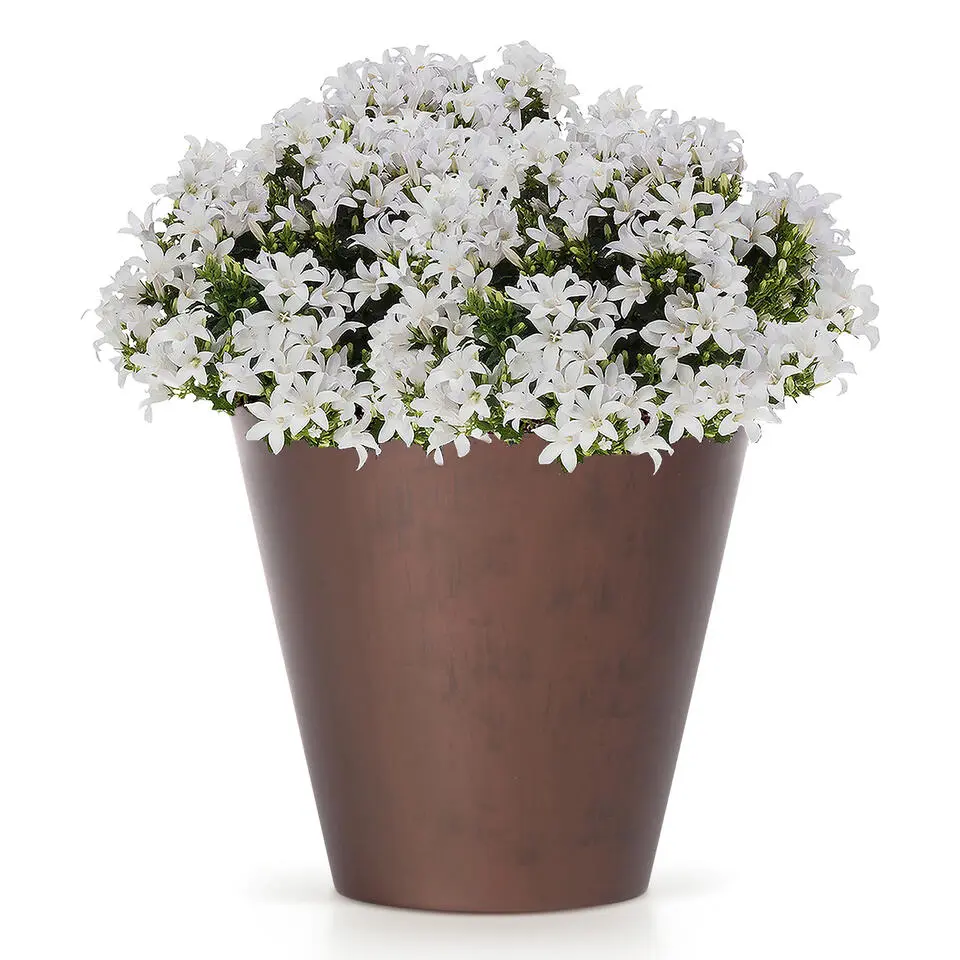 Prosperplast plantenpot - kunststof - brons - D30 x H28 cm