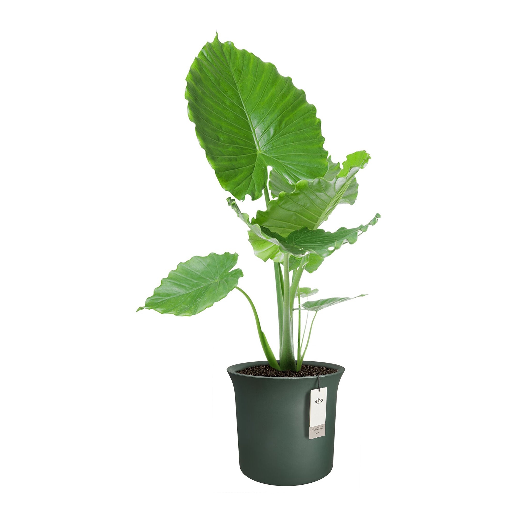 Elho June Tulip 47 - Groen - Ø 47 x H 43 cm - Binnen en Buiten - 100%