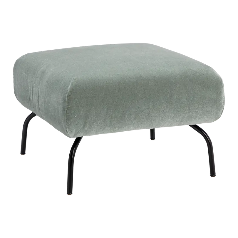 Hocker Magnolia