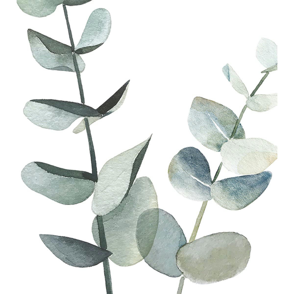 GREENERY - Affiche eucalypstus en Papier Vert