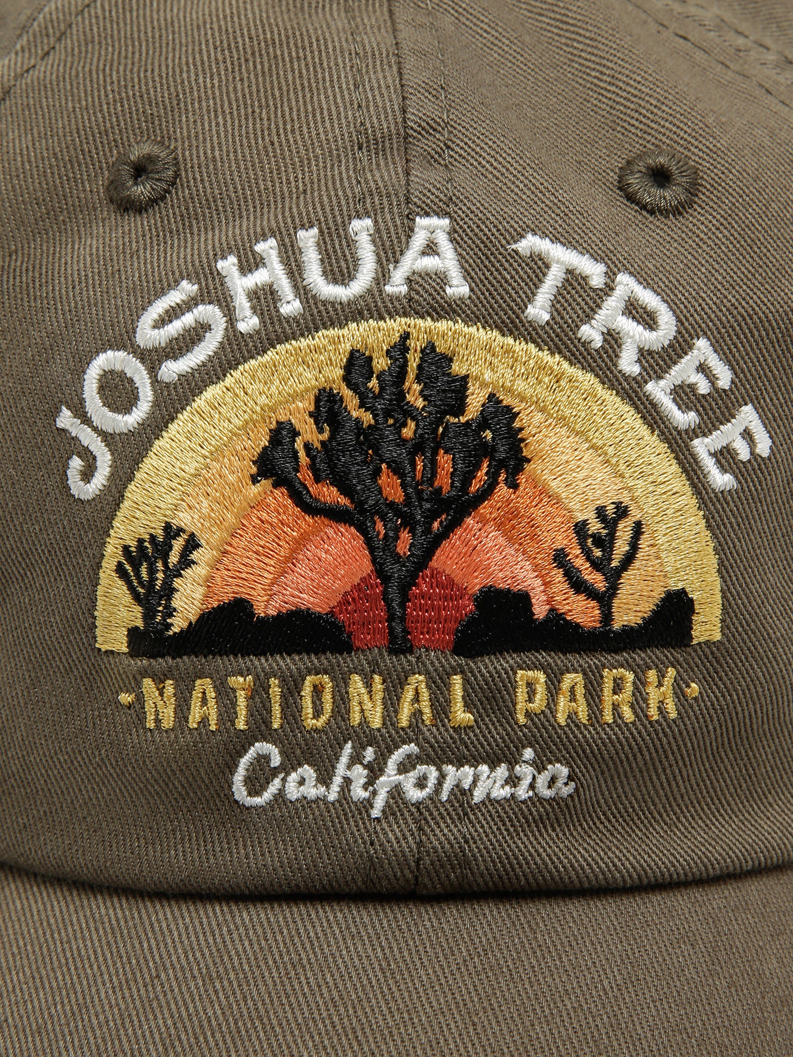 Joshua Tree Dad Cap