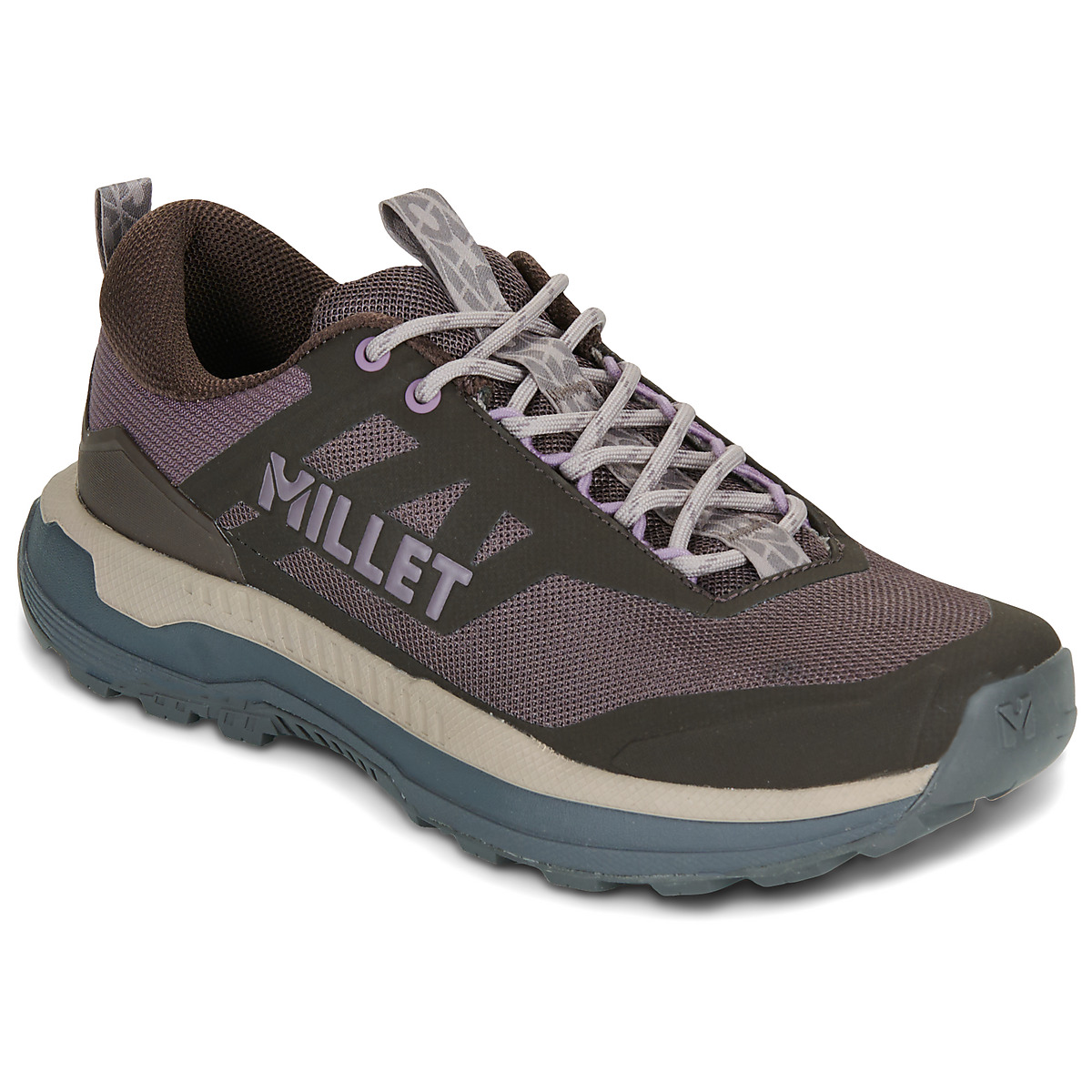 Millet - SENECA W - Violet