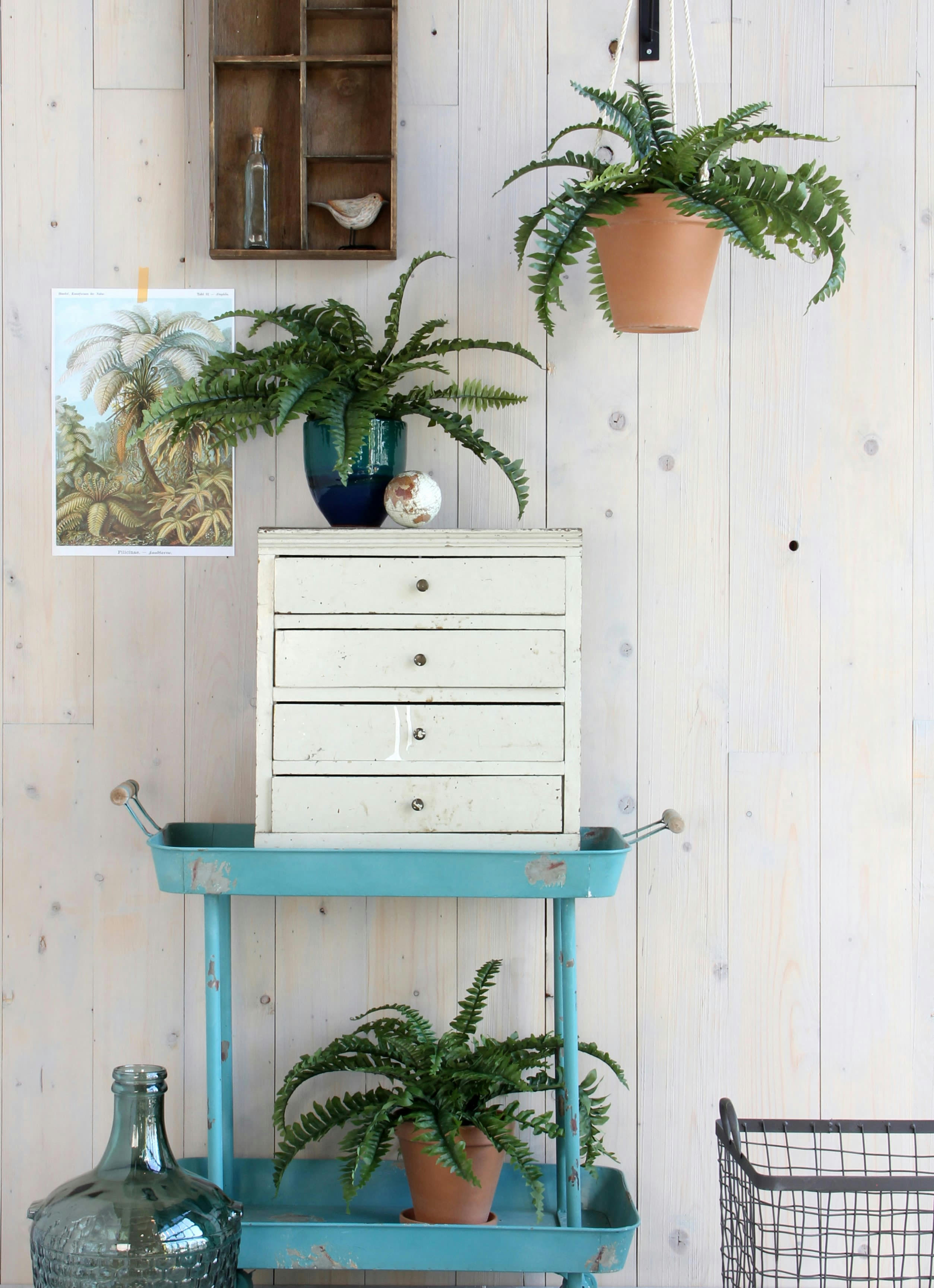 FERN - Fougère artificielle en pot H45