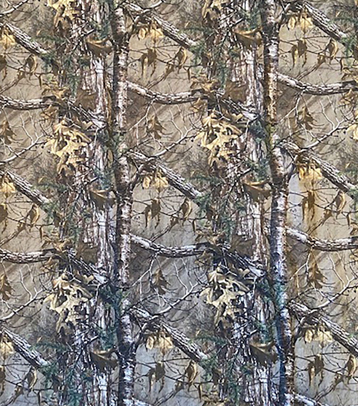 Fabric Traditions RealTree Xtra Cotton Fabric