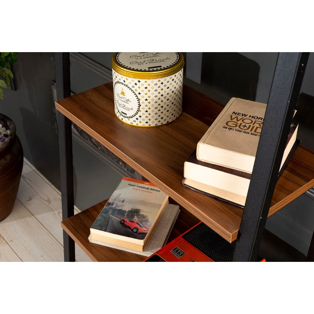 Leon 5 Tier Modern Ladder Bookshelf Organizers, Metal Frame Bookshelf for Small Spaces