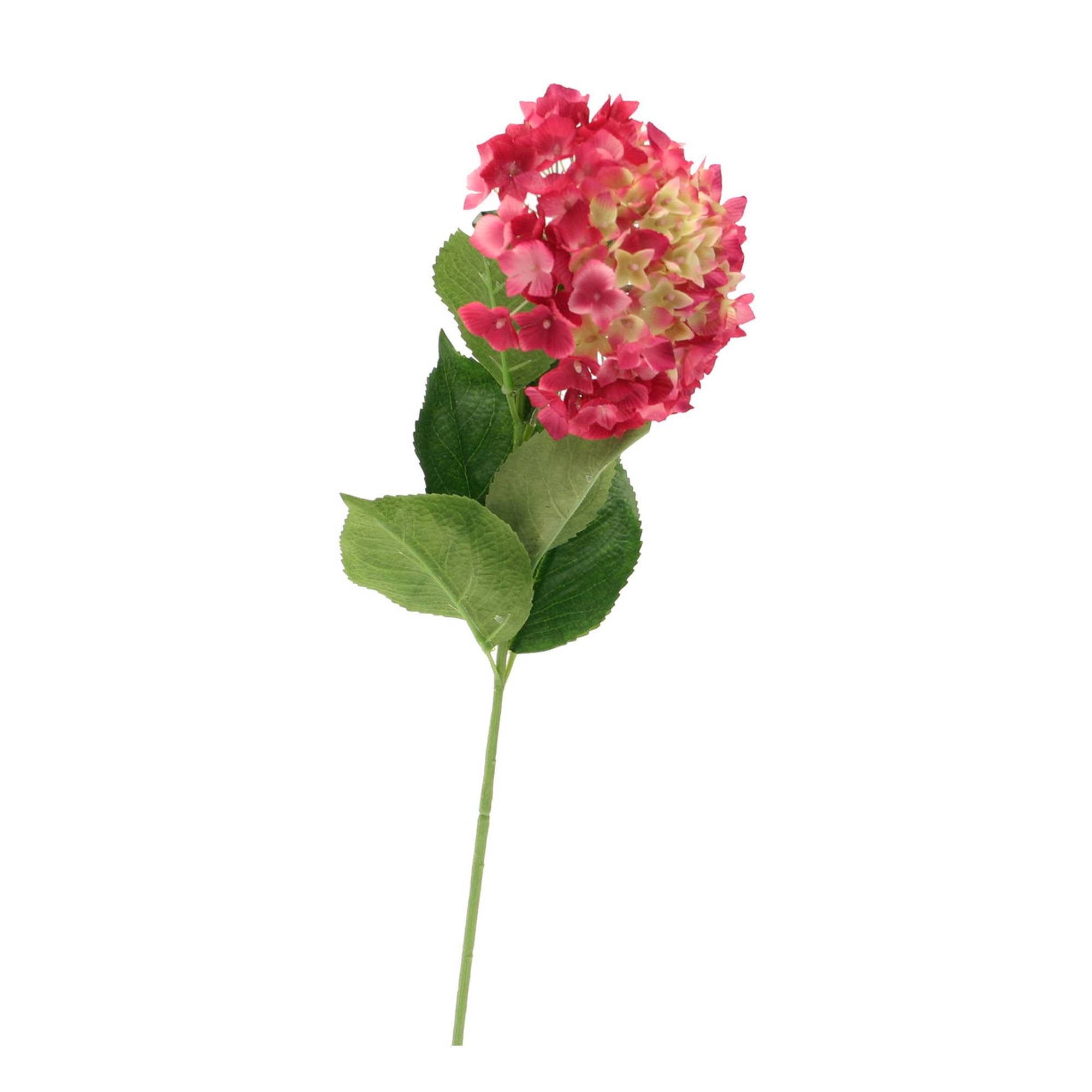 Fuchsia Single Hydrangea 67cm x 13cm