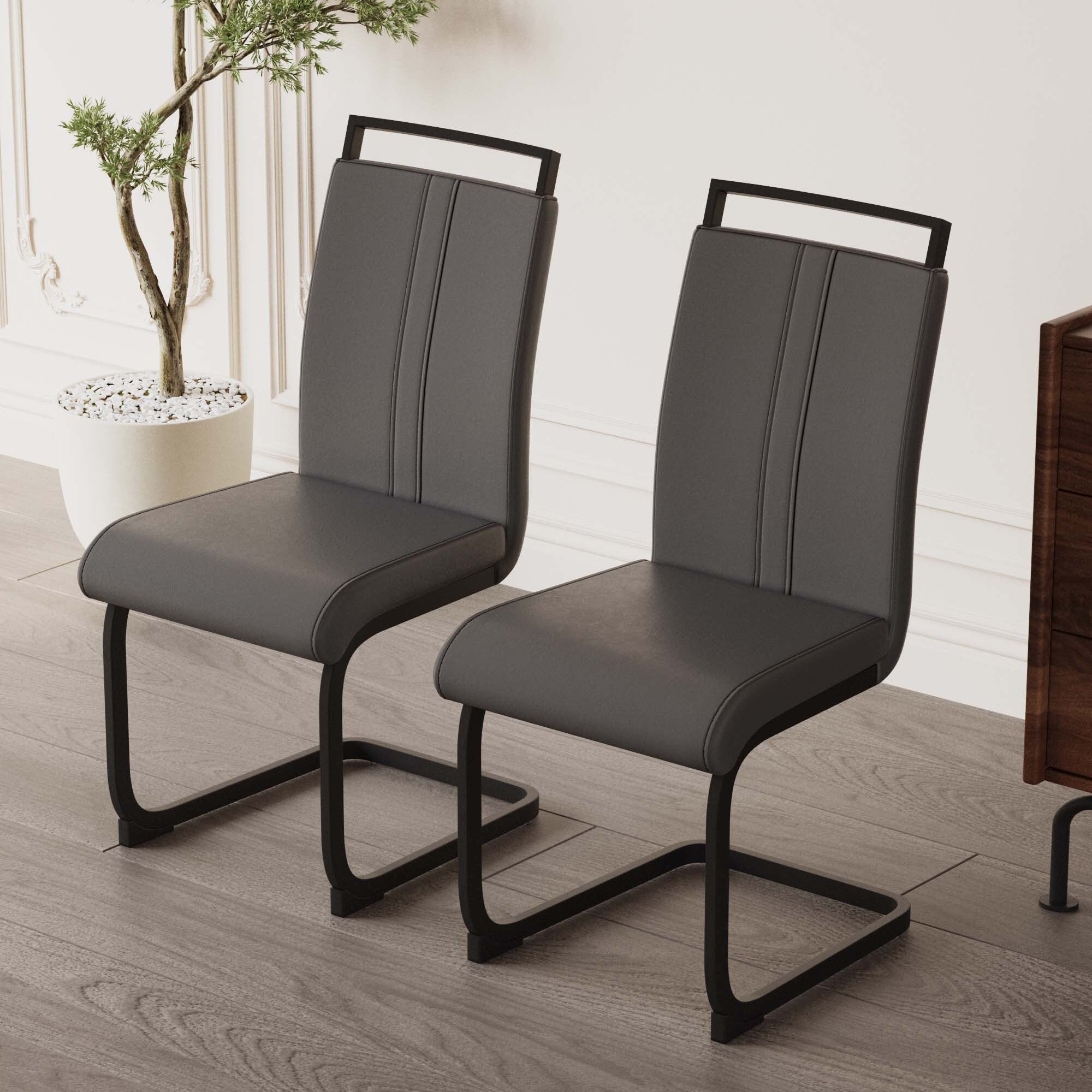 Modern Dining Chairs Set of 2