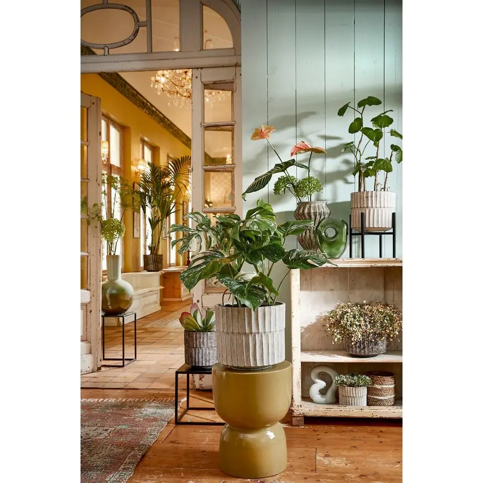 Mica Decorations Ascot Plantenstandaard XL - H49,5 cm - Zwart