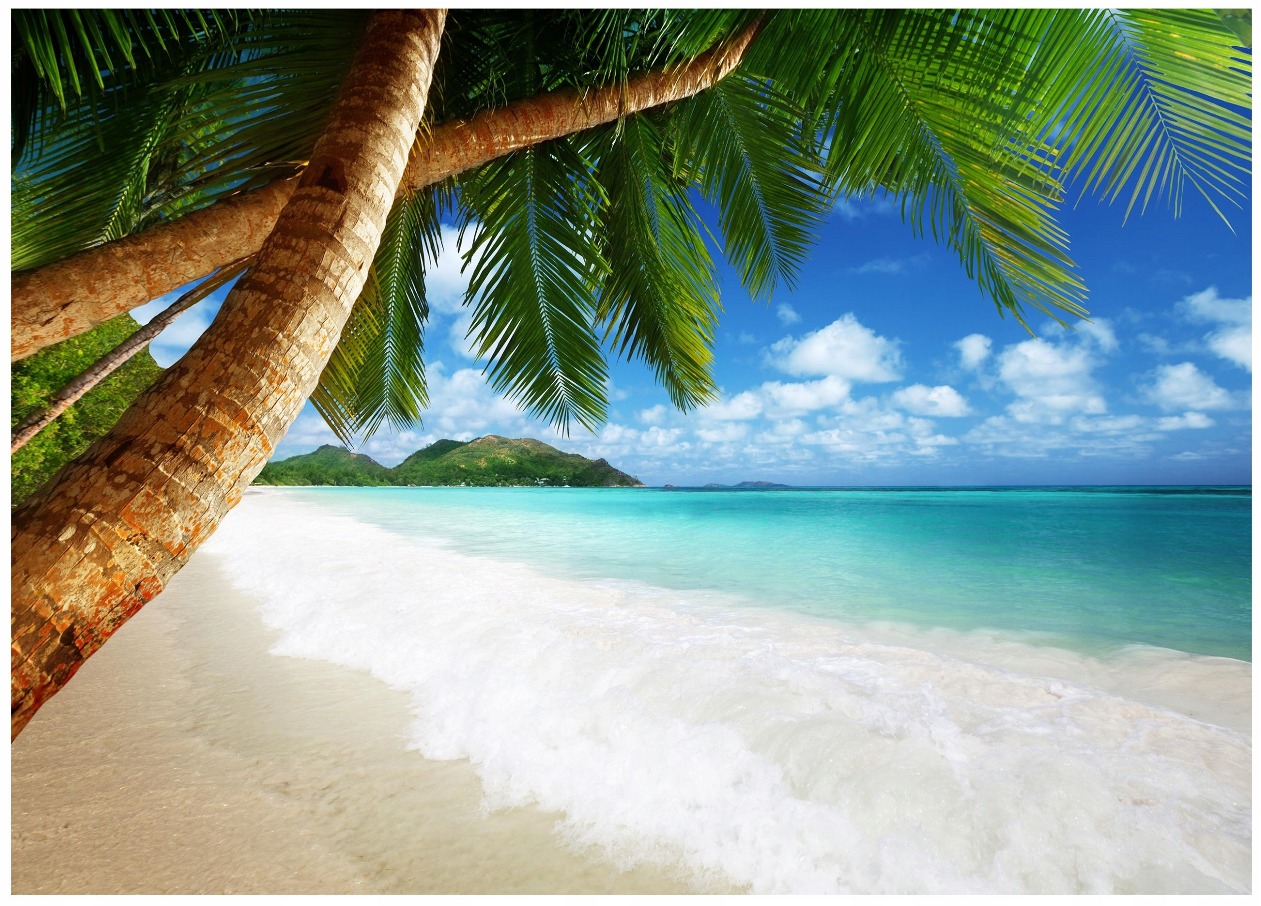 Fototapeta Plaża Morze Palmy Do Sypialni Tapeta 150X105