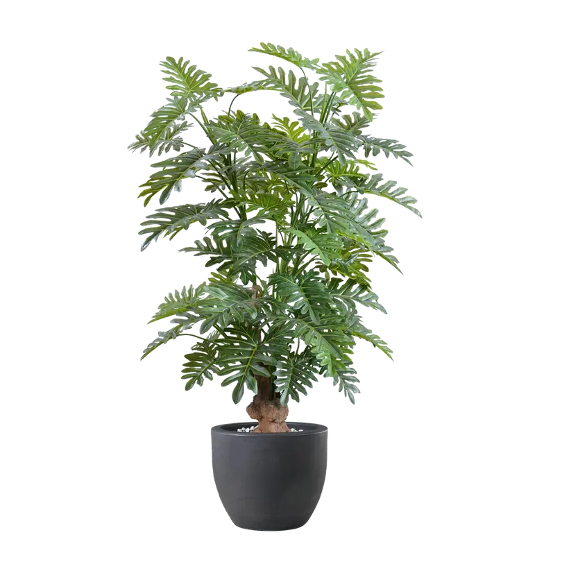 Kunstpflanze Philodendron