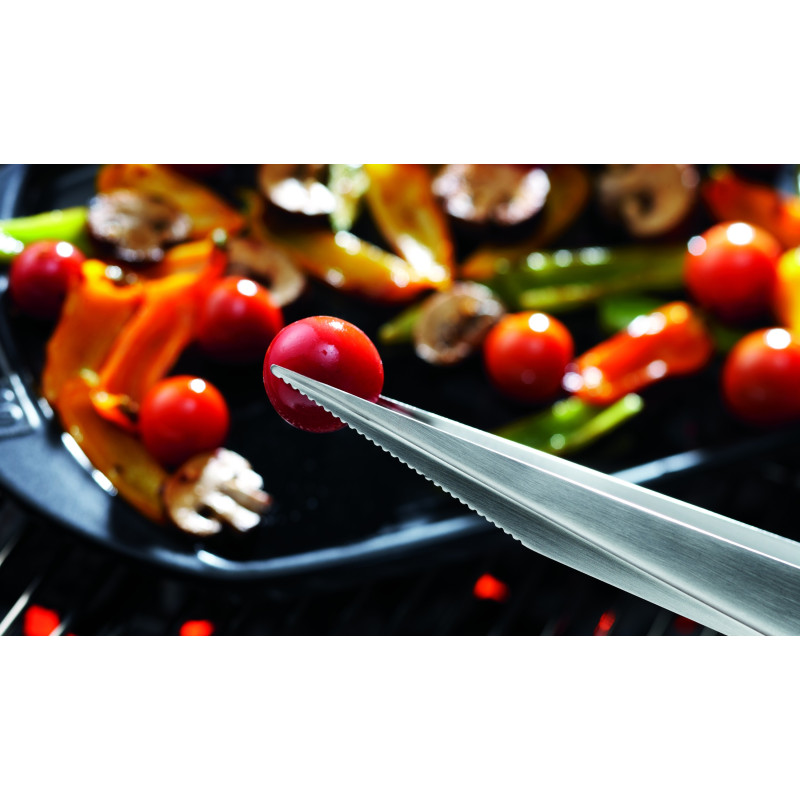 Plancha en céramique petit modèle GBS WEBER