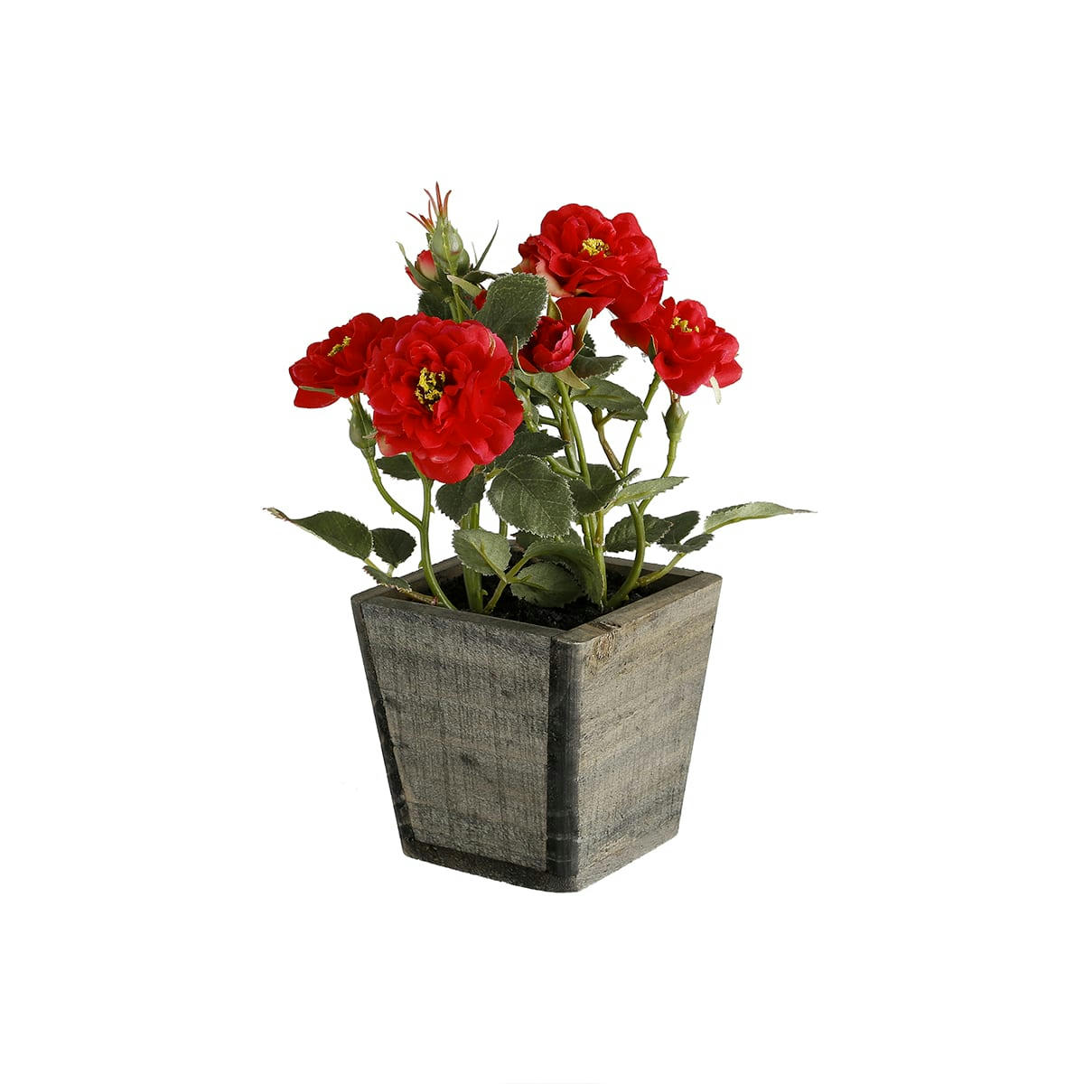 - Roses en pot en bois