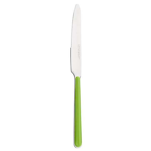 Couteau RIO - Lot de 12 - Pradel - Vert - l2- L0.1- P0.1- h0.1- Acier Inoxydable