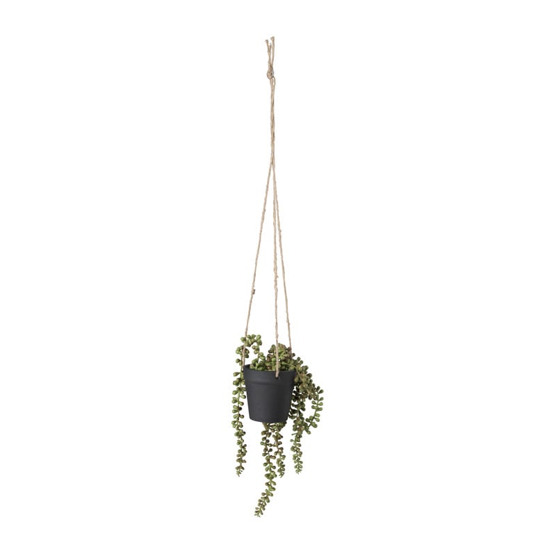 Hangplantje in pot - zwart - 9x9x70 cm