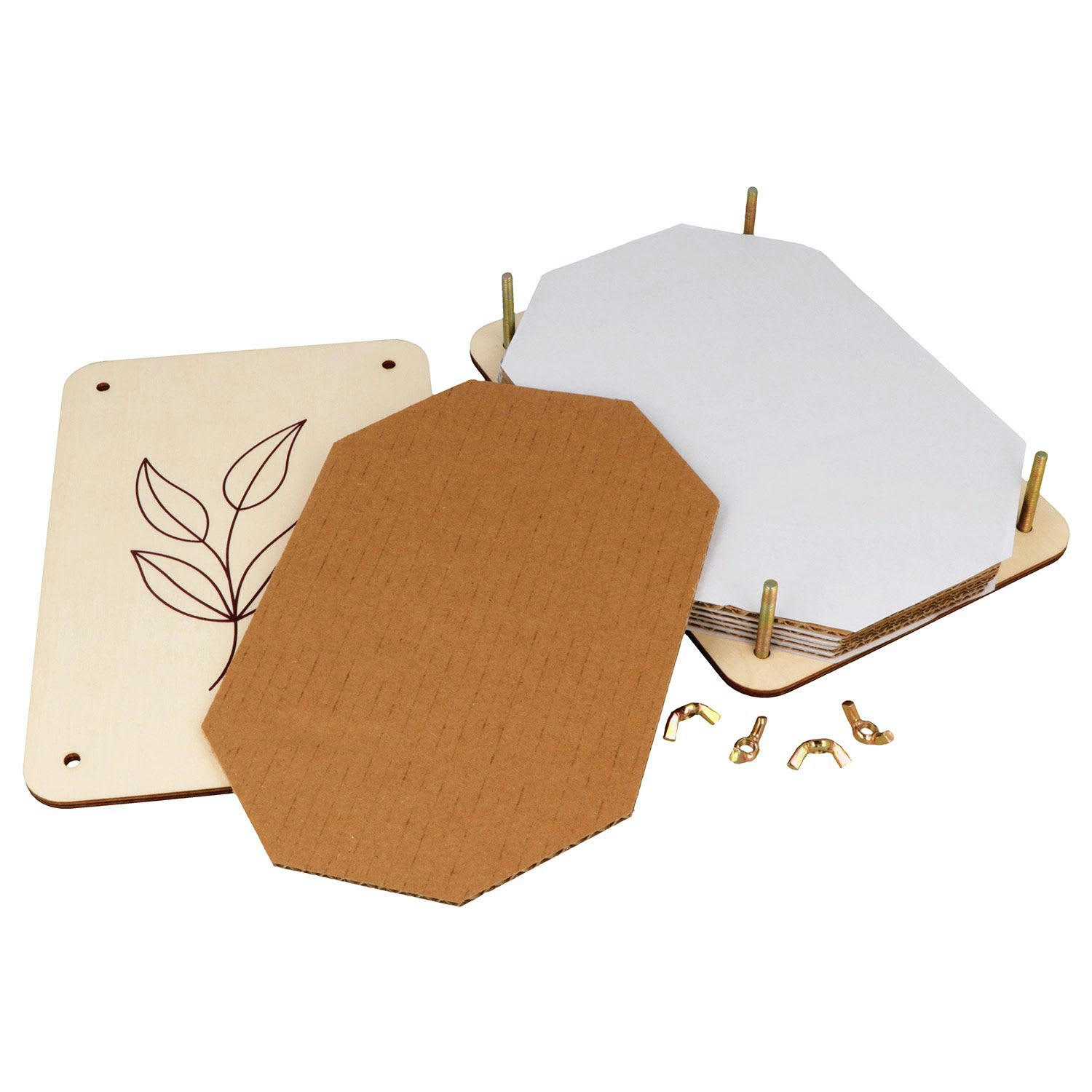 - Herbier en bois 21 x 14.5 x 4.5 cm