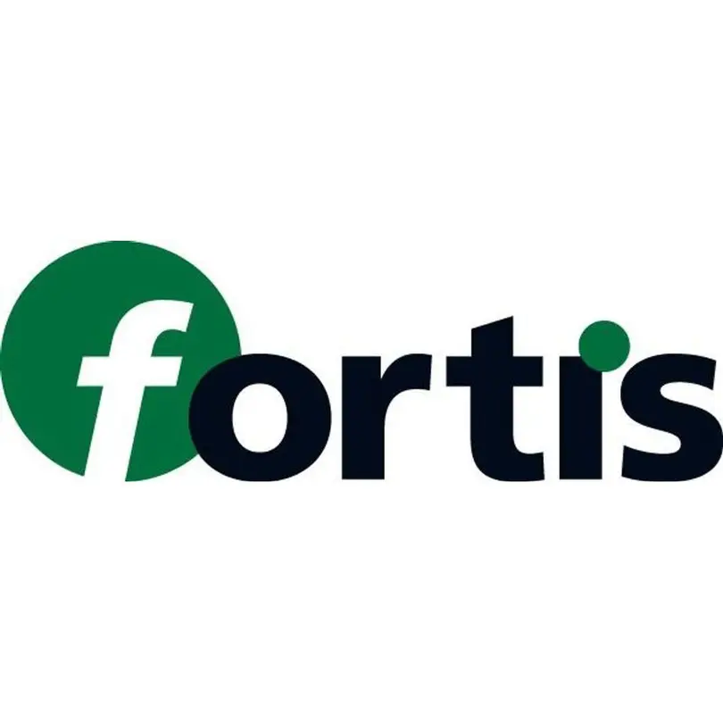 Flachzange Fortis